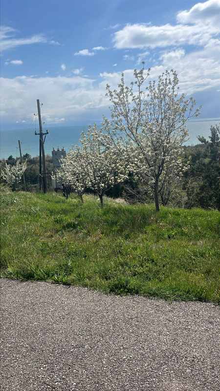 Հյուրանոցային ծառայություններ ` հոսթել