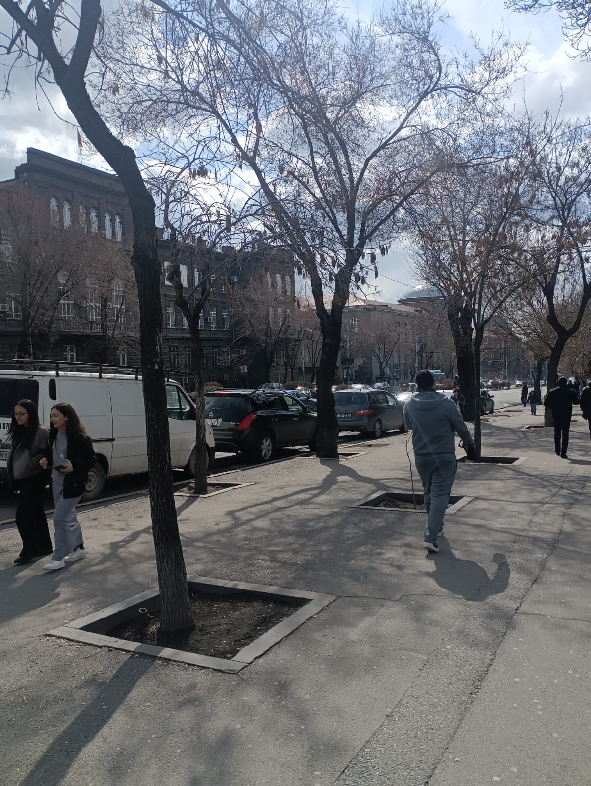 Многофункциональная недвижимость на ул. Абовяна в центре, 500 кв.м.