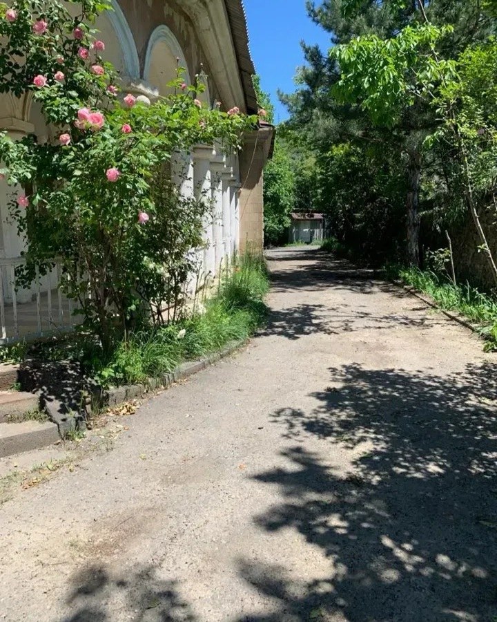 Ռեստորան հաղպատում