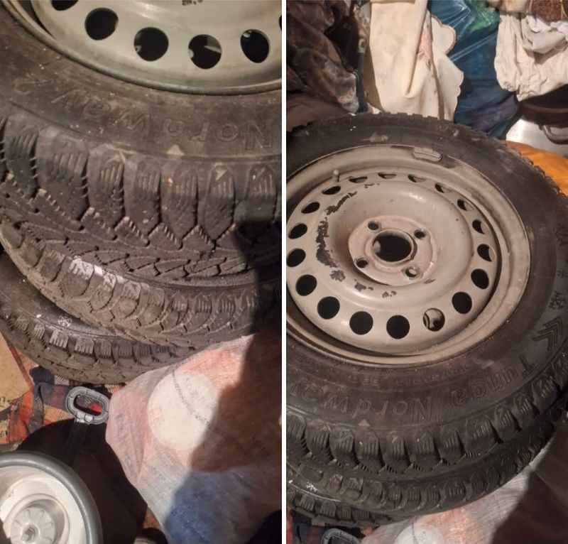 ՊագրիշկաներR14
